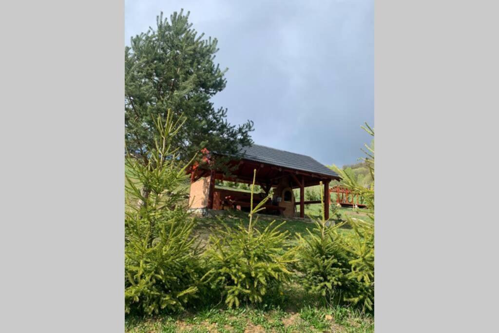 Domcek U Fera Villa Zázrivá Екстериор снимка